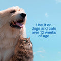 ADAMS Plus Pyrethrin Flea Dip for Dogs and Cats, Kills and Repels Fleas, Ticks, Lice, Gnats, Mosquitoes and Flies, for D