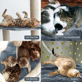 3 Pack Dark Gray Self Warming Cat Bed Indoor 12''x12'' Cat Self Heating Mat Soft Thermal Kitten Bed Heated Pet Dog Pad W