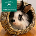 Oxbow Timothy Hay Tunnel, Guinea Pig Hideout, Rabbit & Bunny Tunnel, Edible