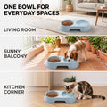 Pet Food and Water Bowl, Double Feeding Bowls, Small Grey, for Cats and Small Dogs, Portable Pet Accessories