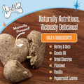 The Lazy Dog Cookie Co. Bitscuits, Horse Treats, Alfalfa, Flax & Peppermint, Pocket Size Biscuits for Horses & Ponies, A