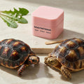 Tortoise Shell Conditioner Balm – Turtle Shell Moisturizer for Dry Shell Care & Treatment, Reptile Shell Balm 50 g