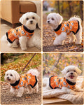 CuteBone Halloween Ruffle Dog Sweater Dress for Medium Dogs(Spider&Pumpkin)