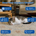 Broad-Spectrum Dewormer - (pyrantel pamoate/praziquantel) Tablets for Cats & Dogs (2 to 20 lbs)