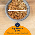 Petmate Replendish Automatic Dog Feeder Gravity Pet Treat Dispenser with Microban Protection Base, Wide Mouth Bowl, 100% BPA Free - 10 lb