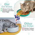 Silicone Cat Food Bowls Shallow Cat Dishes 5.9in Wide Pet Plates Set of 2 Small Flat Dog Saucer Bowl Cute Whisker Fatigu