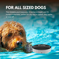 Consumable Corner - Collapsible Dog Swimming Pool - for Swimming & Bathing - Built-in Drain Plug - Hard Plastic, No Inflation Durable - Safe for All Dogs - 55”D x 12”H - Blue - 1 Pool