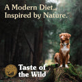 Taste of the Wild Pacific Stream Canine Recipe with Salmon in Gravy Canned Dog Food, 13.2-oz, Case of 12