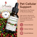 Aussie Pure Pet Therapy Blushwood Berry EBC-46 Tincture - 120ML - Maximum Strength - Lab Tested and Certified - Gentle, Oral and Topical Alcohol-Free Formula - Immune and Cell Support