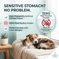 Dewormer for Dogs and Cats - Fenbendazole Tablet Broad Spectrum (50 Tablets