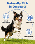PAWUP Freeze Dried Minnows Dog Treats – 100% Single Ingredient Fish Treats for Dogs – Omega-3 Rich, Grain Free Training Treats & Dog Food Topper, 2.8 oz
