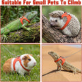 3 Pack Rat Ferret Squirrel Harness and Leash Set, 3 Size Adjustable Soft Leather Small Animal Walking Rope, Anti-Bite Ch