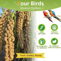 HATORTOP Spray Millet for Birds 5LB - All Natural Sun-Dried Healthy Treat, Millet Spray for Parakeets, Parrots, Lovebirds, Cockatiels Food, 100% Non-GMO High Protein Fresh Bird Seed