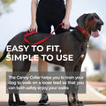 Canny Gentle No-Pull Dog Training Head Collar to Stop Pulling Black Size 4