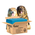 PetsWorld Enormous Dog Pee Pads 37"x54" 50 Count – XXXL Pet Pee Pads for Giant Dogs & Pets, Heavy Duty Leak-Proof Dog Training Pads, Super Absorbent Quick-Dry Potty Pads with Adhesive Tabs