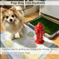 12" H Metal Potty Training Fire Hydrant for Dogs to Pee On Indoor & Outdoor