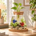 Glass Betta Fish Bowl, Desktop Plant Hydroponic Terrarium Kit 4''