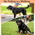 DEYACE Prong Collar for Dogs Stainless Steel Dog Pinch Collar