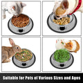 Serentive 2 Pcs Non-Slip Stainless Steel Small Cat Food Bowls - Unbreakable, Thicken 7 Oz Cat Dishes - Indoor, Removable Rubber Base, Easily Clean, Lovely Color