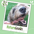 Nature Gnaws Beef Gullet Springs for Dogs 7-8" (12 Count) - Natural Beef Jerky Stick Dog Chew Treats - Rawhide Free