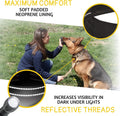 ADITYNA Heavy Duty Dog Collar with Handle - Thick Dog Collar for Large Dogs - Wide, Reflective, Tactical, Soft Neoprene 