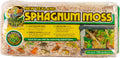 Zoo Med Laboratories New Zealand Sphagnum Moss, Black