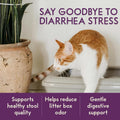 PURPLE CAT Probiotics for Cats, Gut and Digestive Health Support, 60 Chews