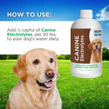 BEAM Minerals Advanced Canine Mineral and Electrolyte Replenishment Set