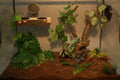 AQUA KT Reptile Climbing Tree Branch Rain Forest Style for Lizard