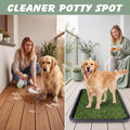 ondware Dog Grass Pad with Tray, 30 x 20 in, 2 Replacement Pads Included