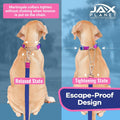 Jelly No Pull No Slip Waterproof Martingale Collar for Dogs, Blue Rose