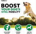 Glucosamine for Dogs - 240 Chews - Hip and Joint Supplement for Dogs - Advanced Glucosamine Chondroitin Treats with MSM - Joint Pain Relief - Large & Small Breed - Mobility Support - Made in USA