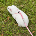 Adjustable Rabbit Harness and Leash Set, 4 Pcs Rabbit Leash