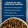 Blue Buffalo Wilderness Chicken Adult Dry Cat Food, Grain-Free, 9.5 lb
