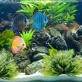2pcs Aquarium Plants Decorations Artificial Fish Tank Plants Plastic Fish Tank Accessories Green Natural Style Aquarium 