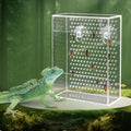 Bearded Dragon Feeder, Chameleon Bug Bowl, Transparentk Acrylic Reptile Feeder Box, Wall-Mounted Insect Food Dish with S
