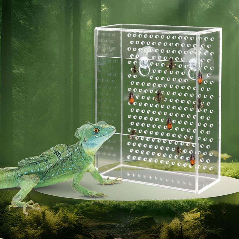 Bearded Dragon Feeder, Chameleon Bug Bowl, Transparentk Acrylic Reptile Feeder Box, Wall-Mounted Insect Food Dish with S