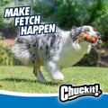 Chuckit! Ultra Fetch Stick Dog Toy Interactive Outdoor Toy for All Breed Sizes - 12 Inch