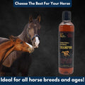 E3 Antifungal Ketoconazole and Thymol Skincare Shampoo for Horses and Dogs - Relieves Itching, Irritation, and Skin Infe