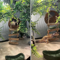 6PCS Crested Gecko Coconut Hut, Lizard Coco Den with Ladder and Reptile Hammock Bearded Dragon Tank Accessories Climbing