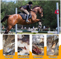 12 Pack Horse Hoof Tape, Strong Sticky Wraps, Magic Cushion Hoof Packing