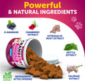 Dog UT Treats - Cranberry Chews for Dogs - Urinary Tract & Bladder Support Supplement with Natural Cranberry Extract - Tasty 120 Soft Bites for Daily Wellness with Fish Oil, Pumpkin, D-Mannose
