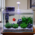 Vimvins 3 Gallon Glass Small Fish Tank, Betta Fish Tank Starter Kit with Filter, Lights,Lid.