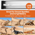 MIXJOY T5 HO UVB Reptile Light Kit, 22Inch 24W 10.0 Bulb for Bearded Dragon