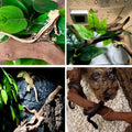 BNOSDM 2PCS Reptile Wood Branches Decor,Lizard Habitat Natural Wood Decoration,Snake Climbing Branch Accessories,Terrari
