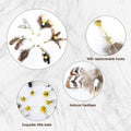 Cat Insect Feather Toys Replacement Cat Toy Wand Refills, 6 Pieces Natural Insect Cat Toy Feathers Refill, Interactive C