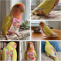 4 Pcs Bird Diaper Reusable Cute Pet Bird Parrot Diapers with Waterproof Inner for Cockatiel Budgie Canary