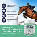 150-Day Supply Horse Amino Acid Supplement - Equine Amino Complex for Muscle, Topline & Recovery Support - Supports Stre