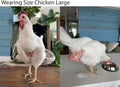 Chicken Diapers for Indoor Chickens, Duck Diapers for Pet Ducks, Ducklings, Pigeons, Goslings - Reusable, Adjustable Dia