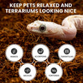 ReptiEarth Reptile Bedding, Fluffy Coconut Fiber Substrate 12 Quart Organic Coco Ready to Use for Bioactive Snake Terrar